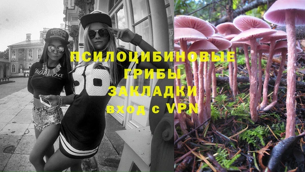 хмурый Алексин