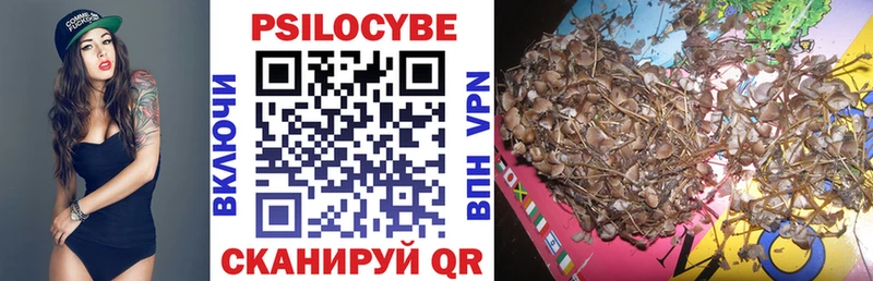 хочу наркоту  Опочка  kraken маркетплейс  Галлюциногенные грибы MAGIC MUSHROOMS 